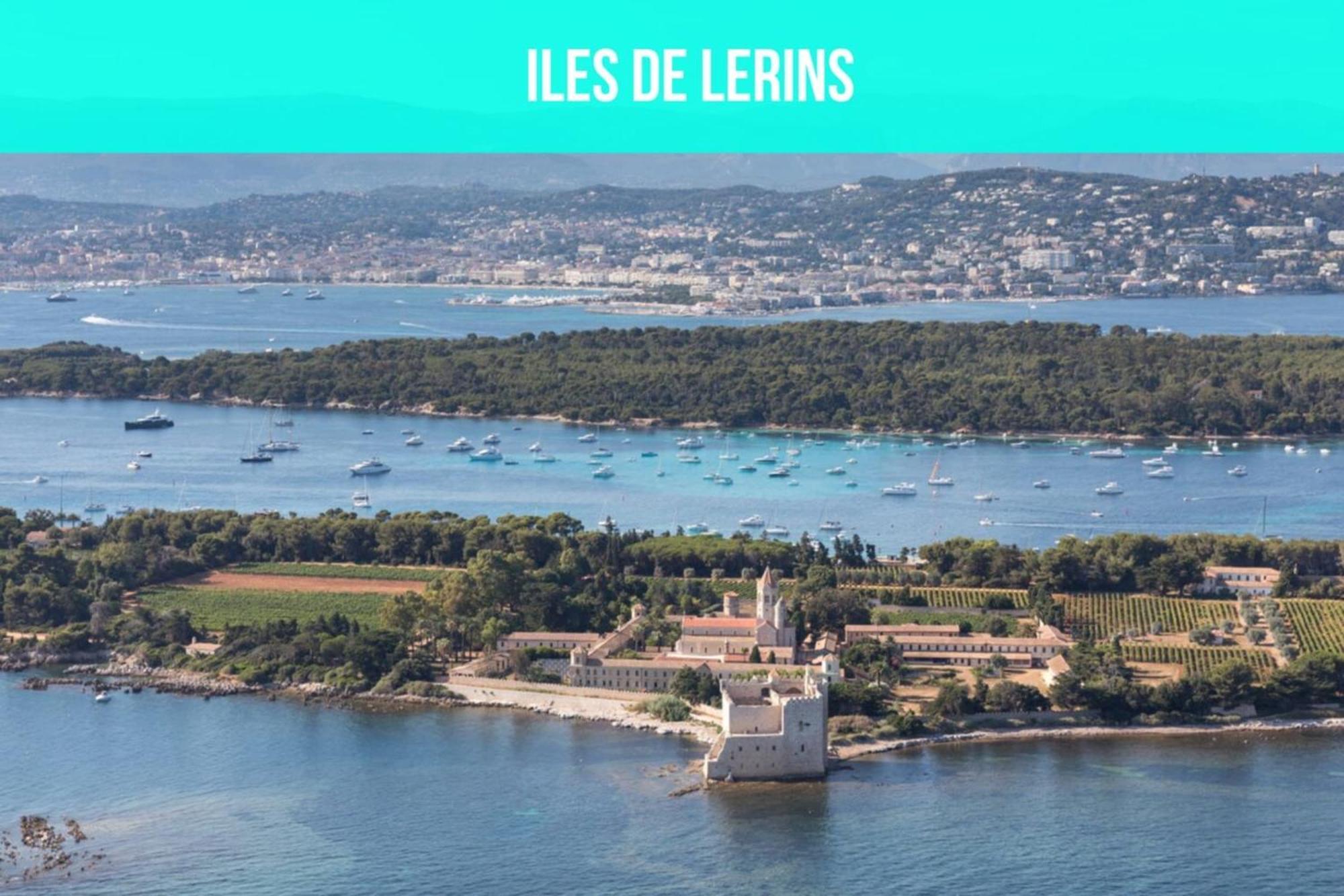 Les Sorbiers - Centre Ville - Spacieux & Climatisation Cannes Ngoại thất bức ảnh